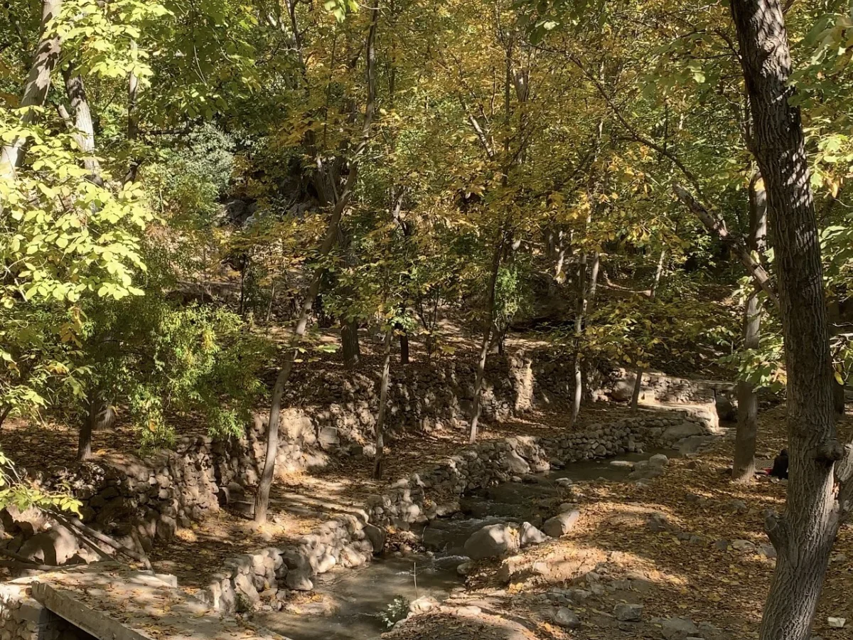 تور پائیزی روستای دشتک