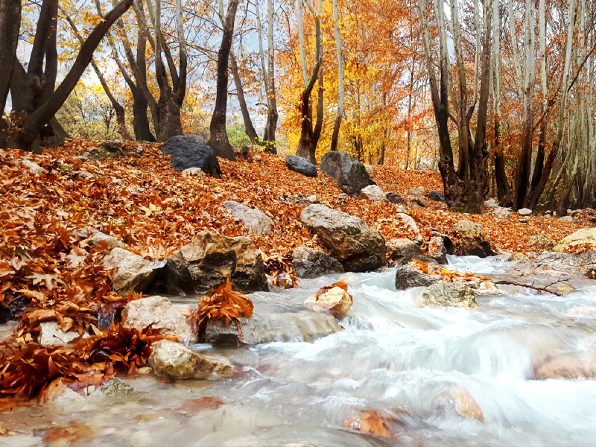 تور يك روزه پاییز هزار رنگ تنگه زیبای گنجه ای 9 آذر