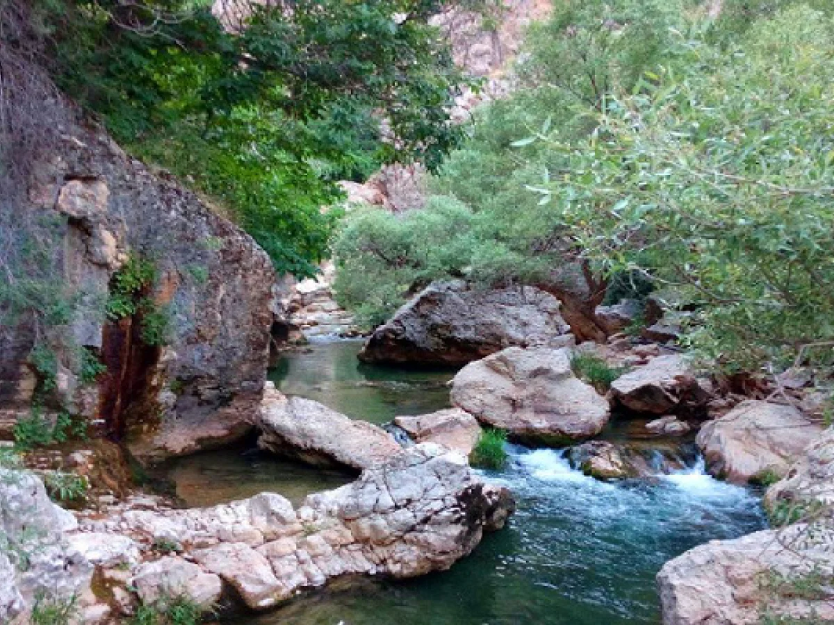 تور یک روزه تنگ سرچشمه 19شهریور