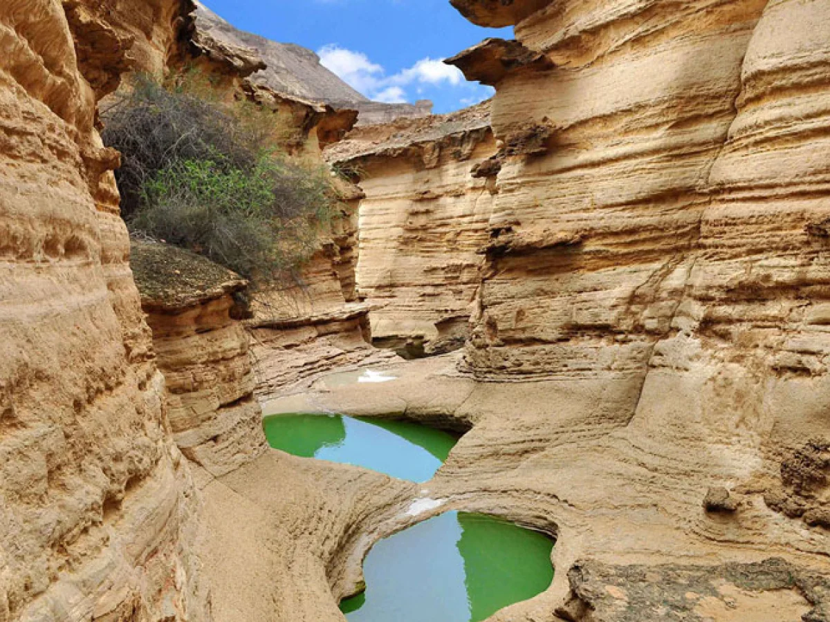 ️تور جزیره قشم و‌ هنگام و درگهان 10 دی ماه