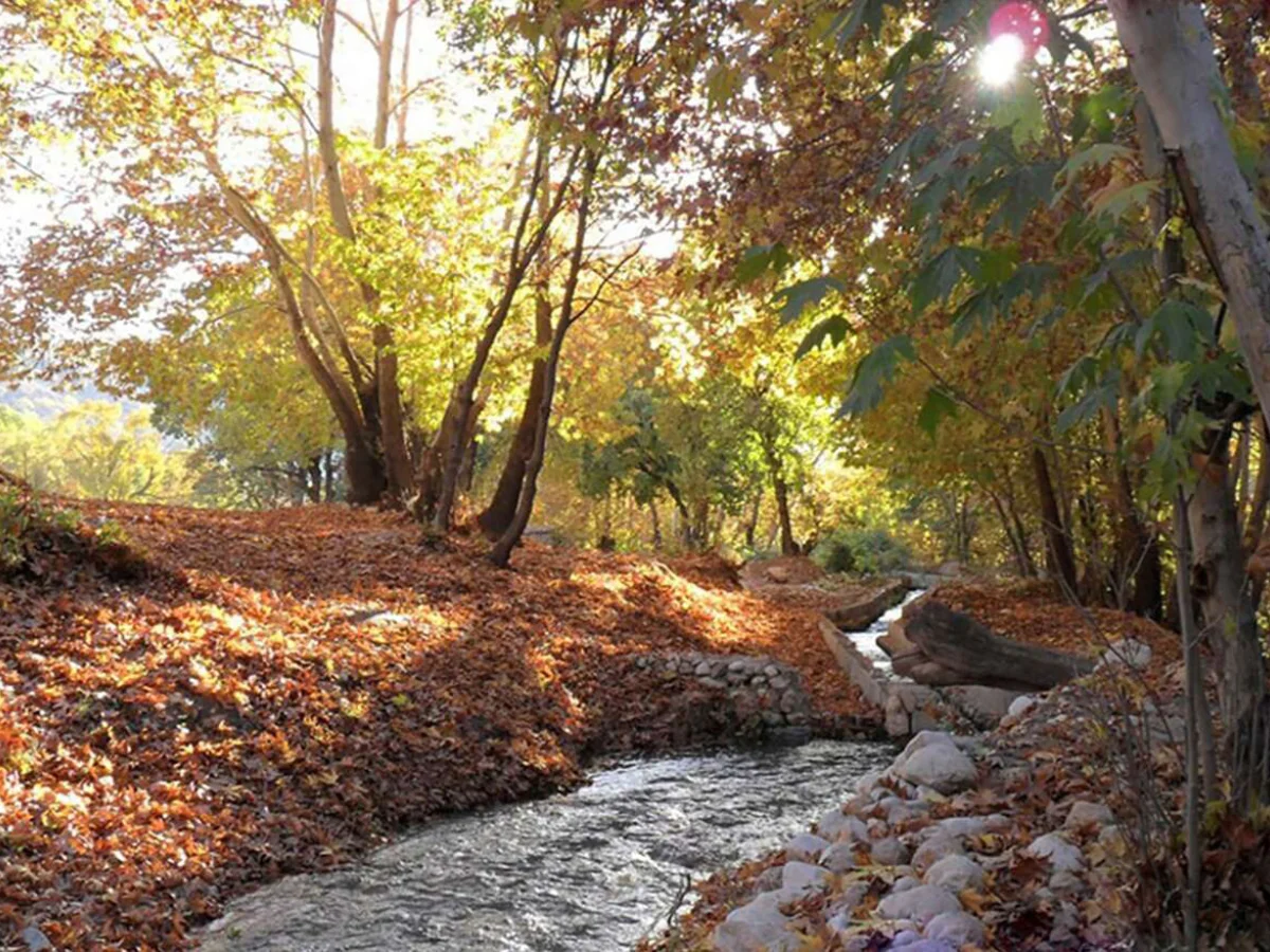 تور تنگه گنجه ای 14 آذر