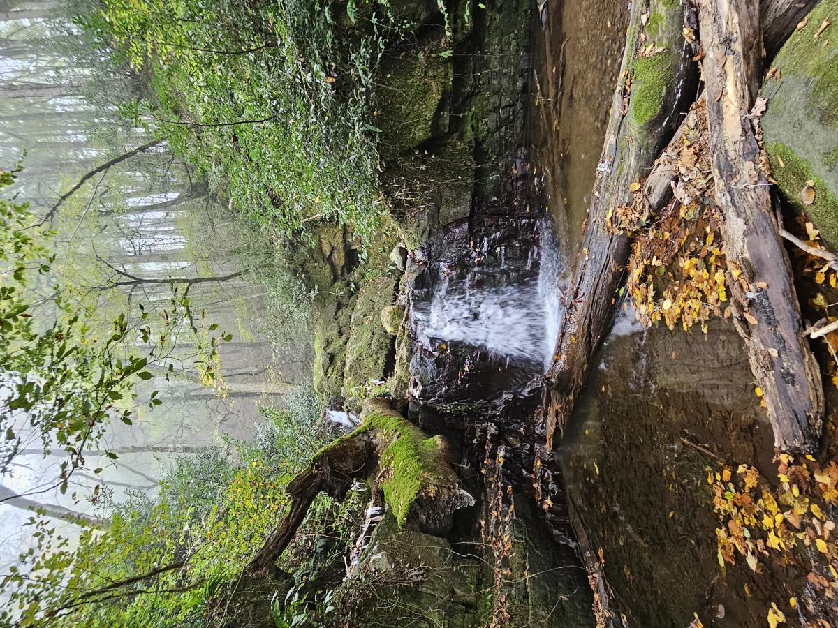 تور ۷ روزه گیلان با قطار 