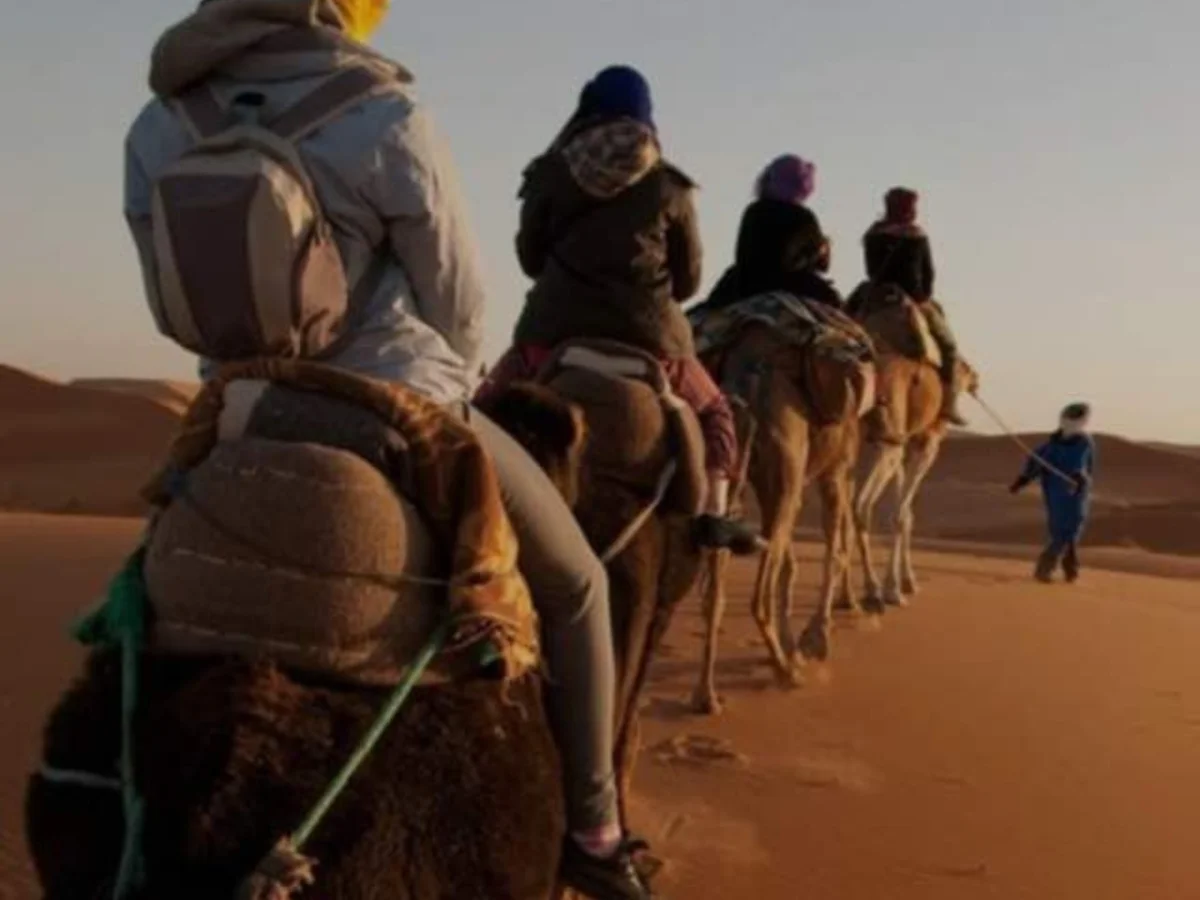 ویژه برنامه کویر ورزنه