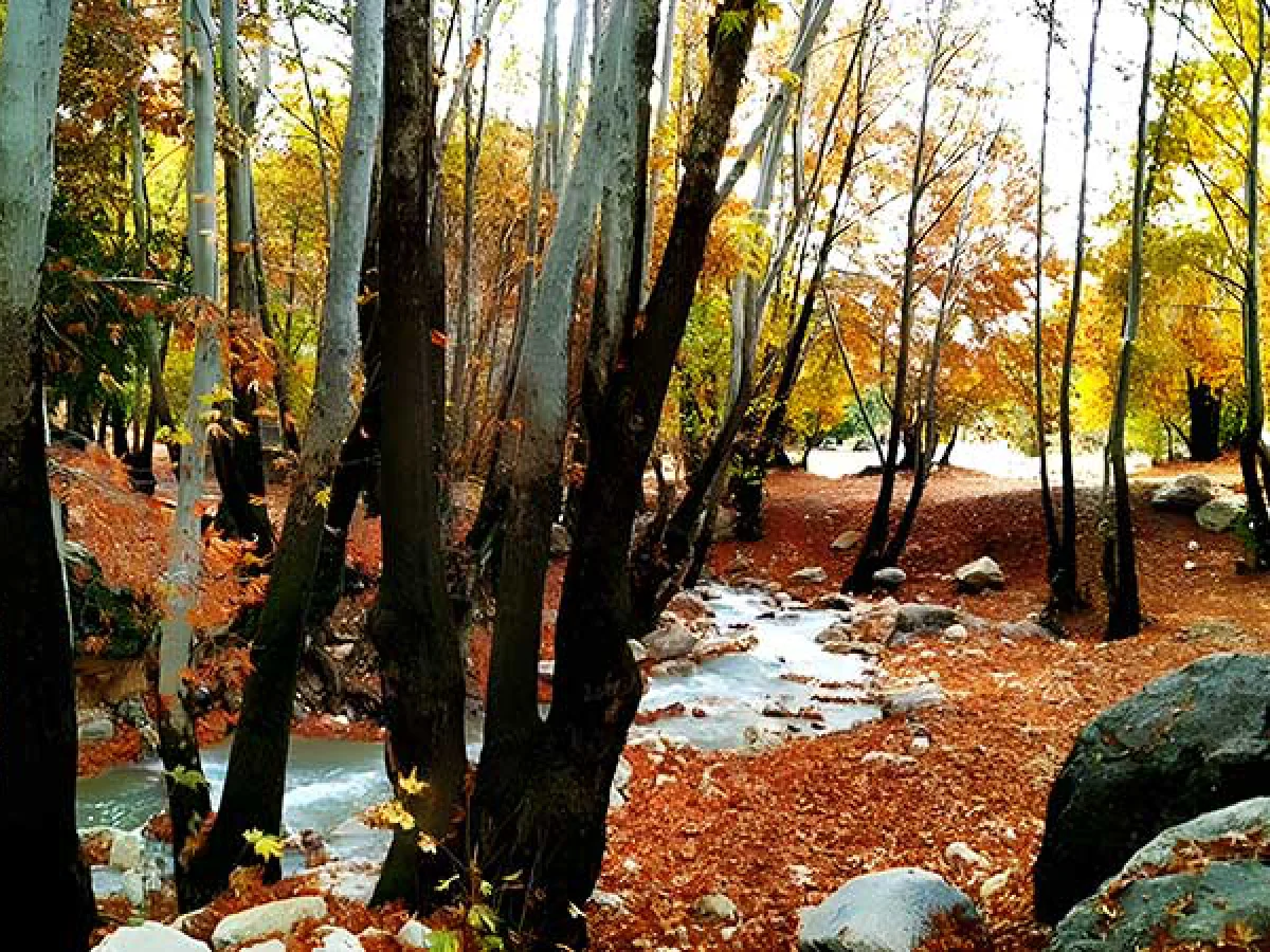 تور تنگه گنجه ای 3 آذر