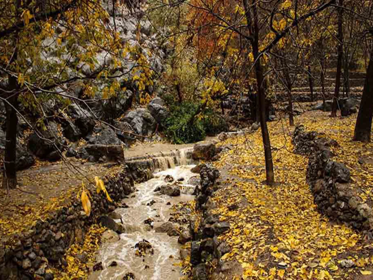 تور پاییزه دشتک