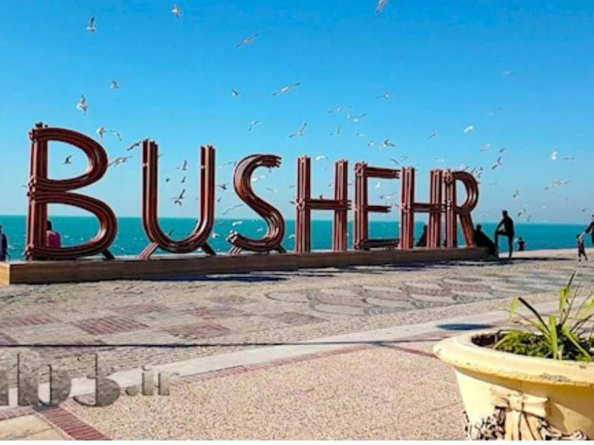 اقتصادی ترین تور بوشهر ودلوار،ریشهر