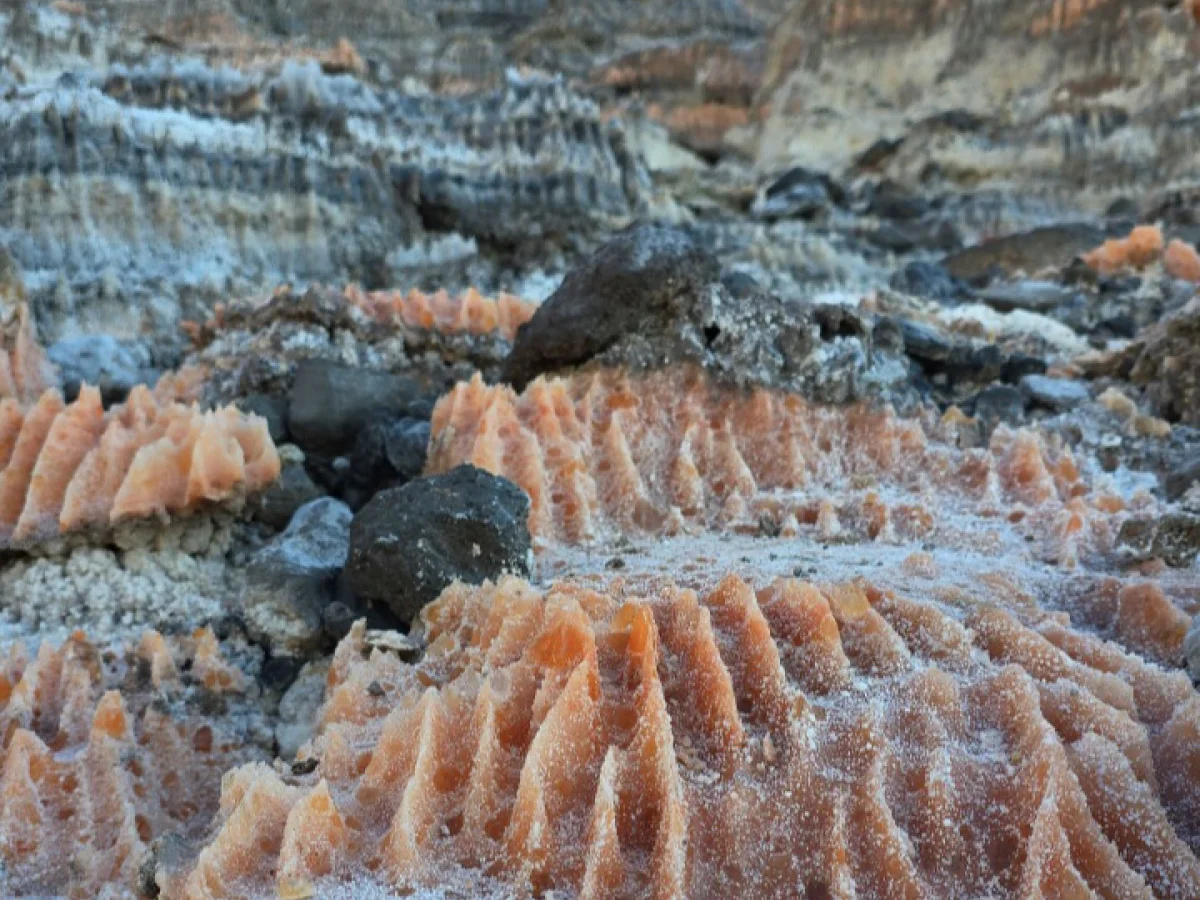 ناشناخته های بوشهر