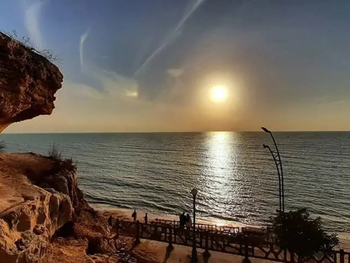 تور يك روزه بوشهر5 دی