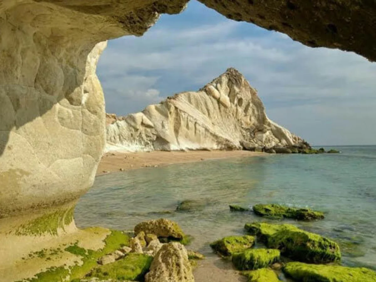 تور یک روزه بندر سیراف و ساحل نخل تقی و خلیج نایبند 12 دی