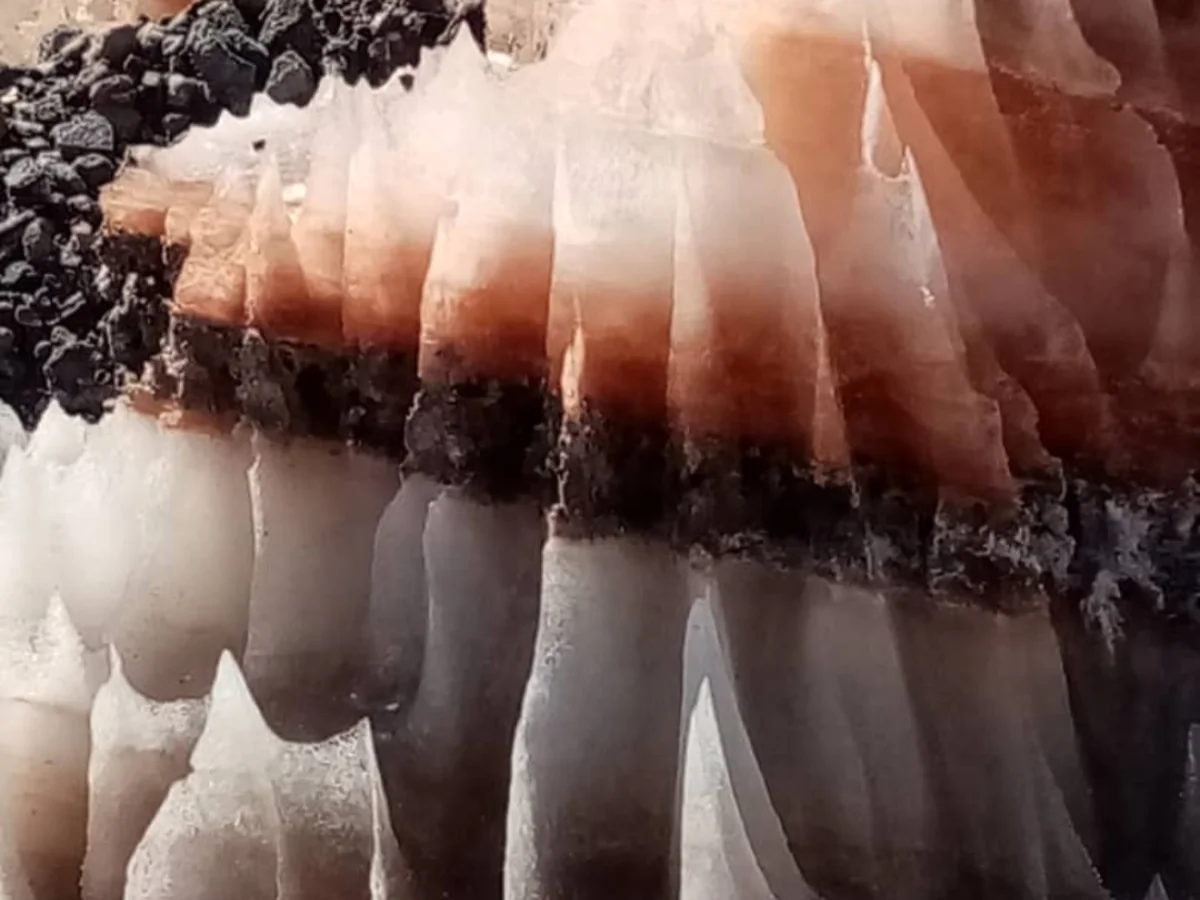 بازدید از کوه نمک جاشک  و بازدید از جزایر خالی از سکنه استان بوشهر*