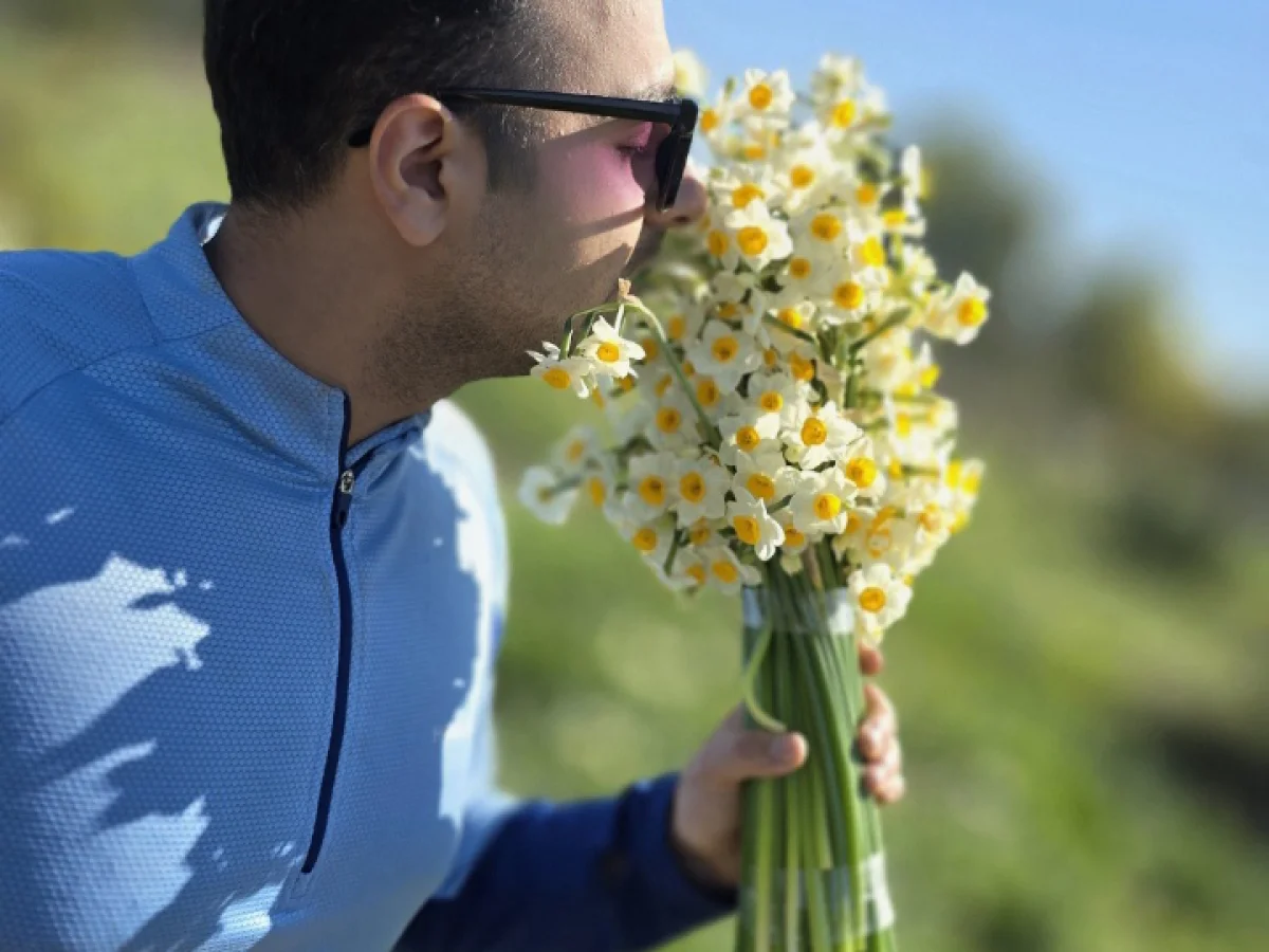 جشنواره نرگس زار خفر