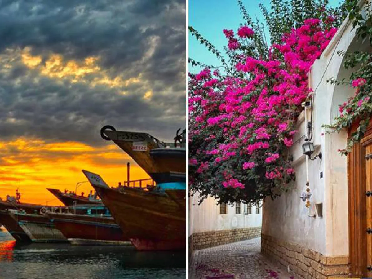 تور یک روزه بوشهر 24 بهمن