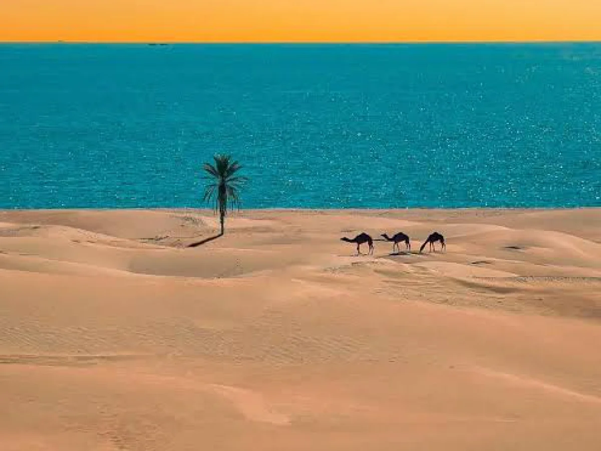 تور یکروزه بوشهر و سواحل بوشهر