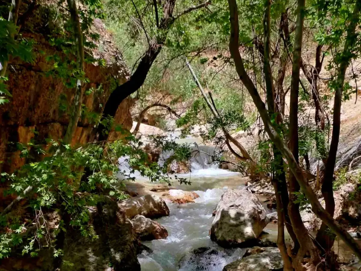 تور تنگ گمبیل