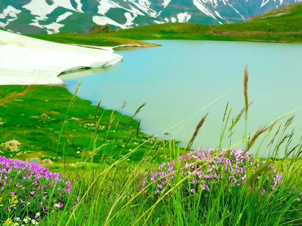 تور گروهی  دالامپر (از آذربایجان غربی تا کردستان) 