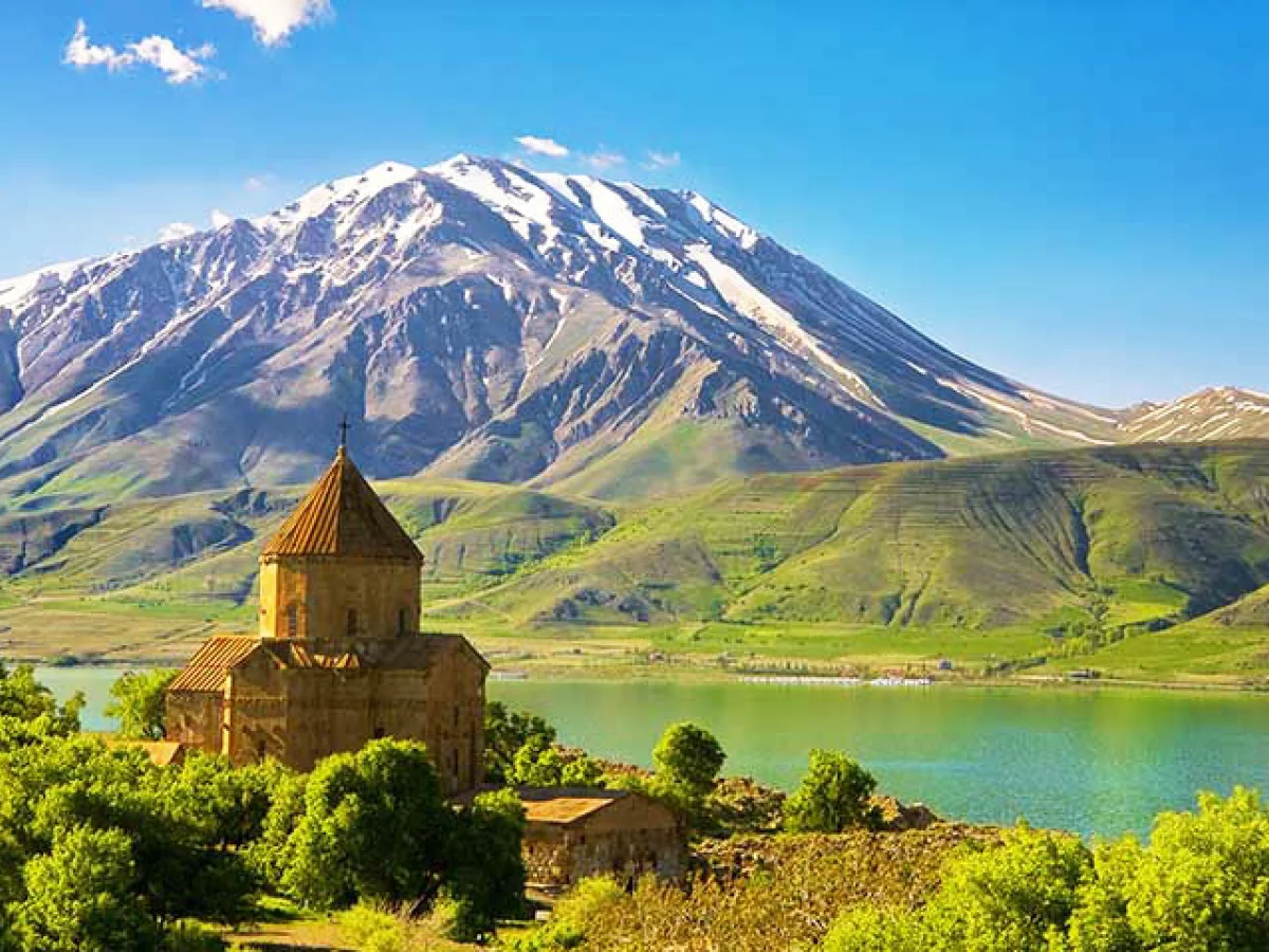 تور وان ویژه کنسرت آقای صدا ابی