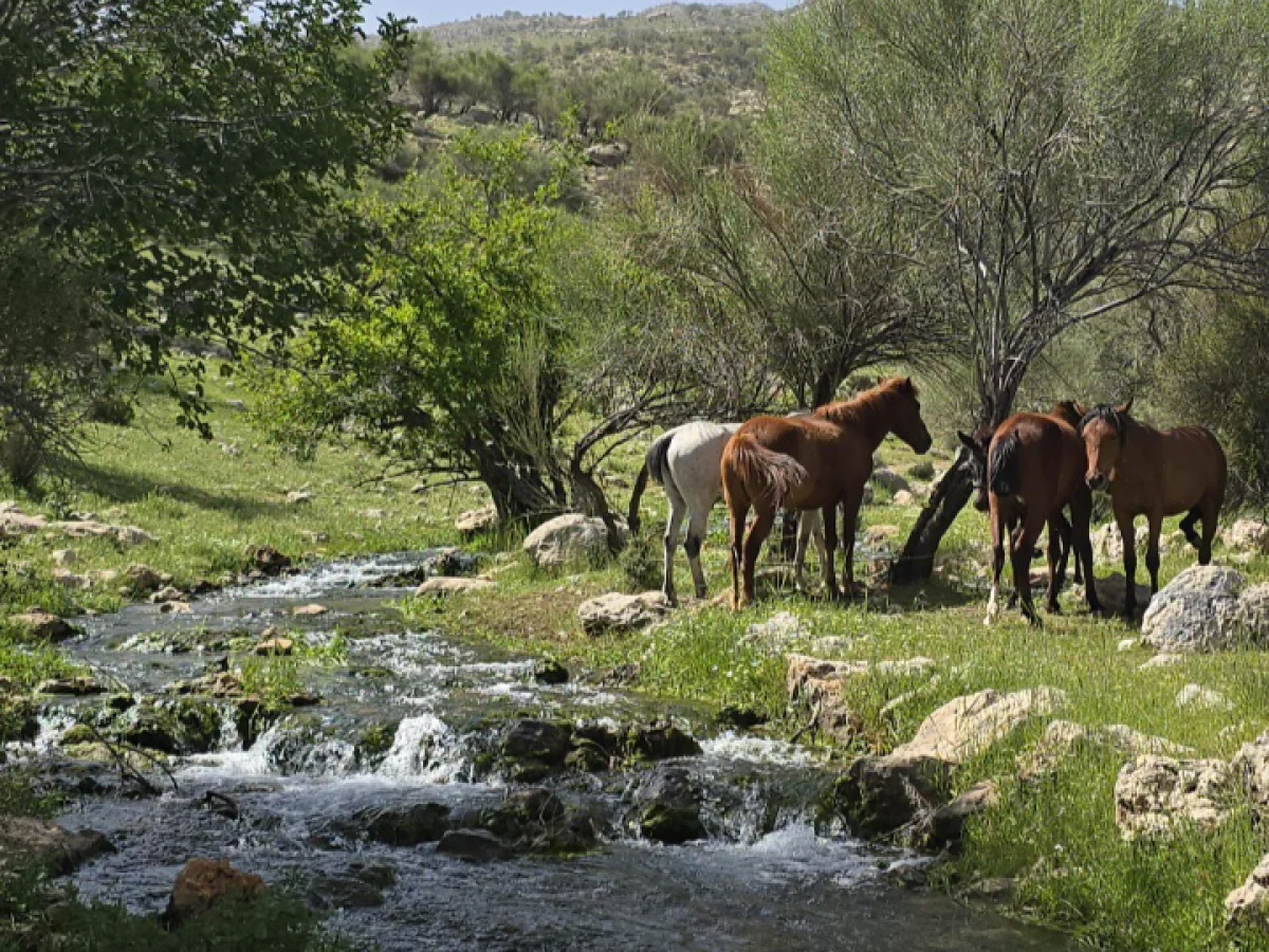 تنگه گمبیل