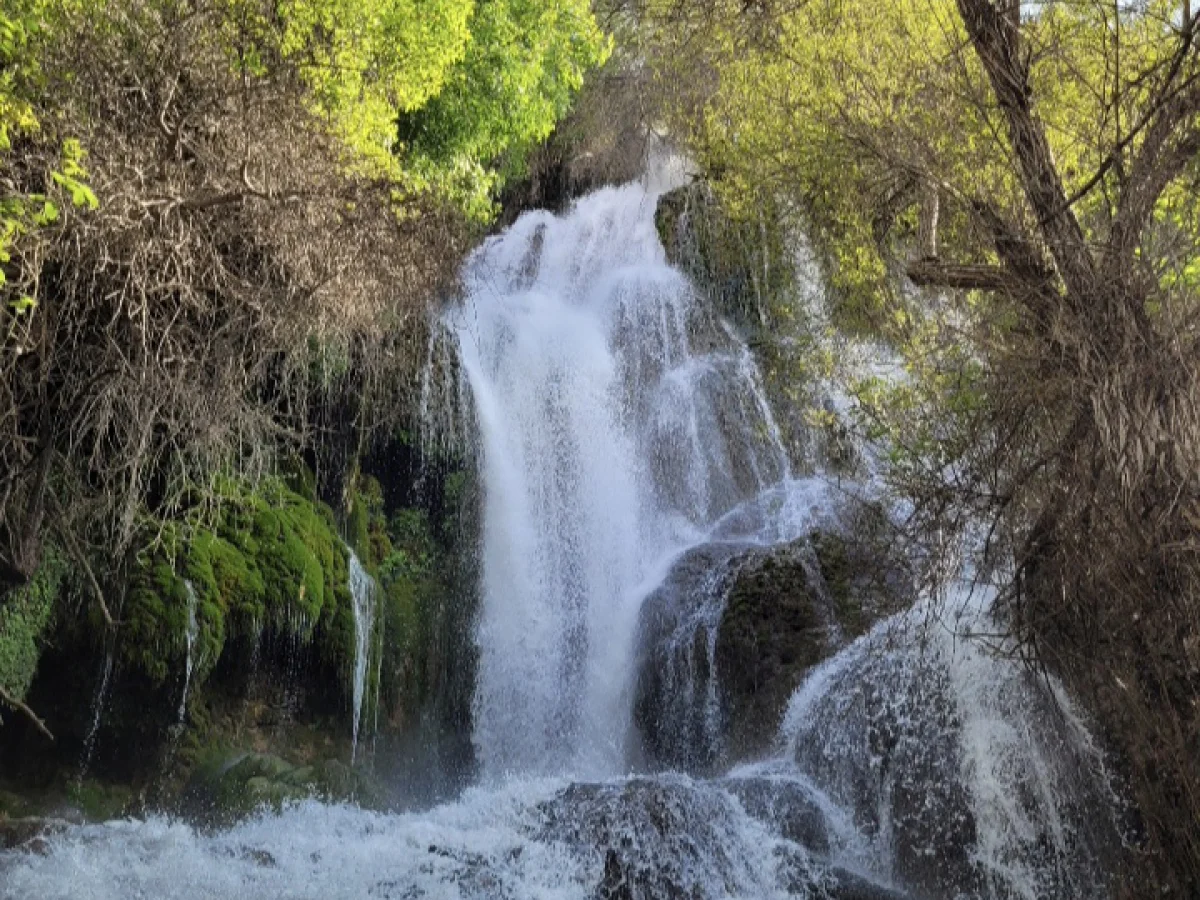 شبمانی کنار آبشار رمقان