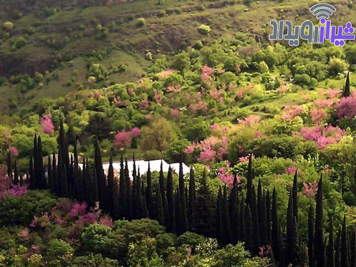 باغ گیاه شناسی باتومی